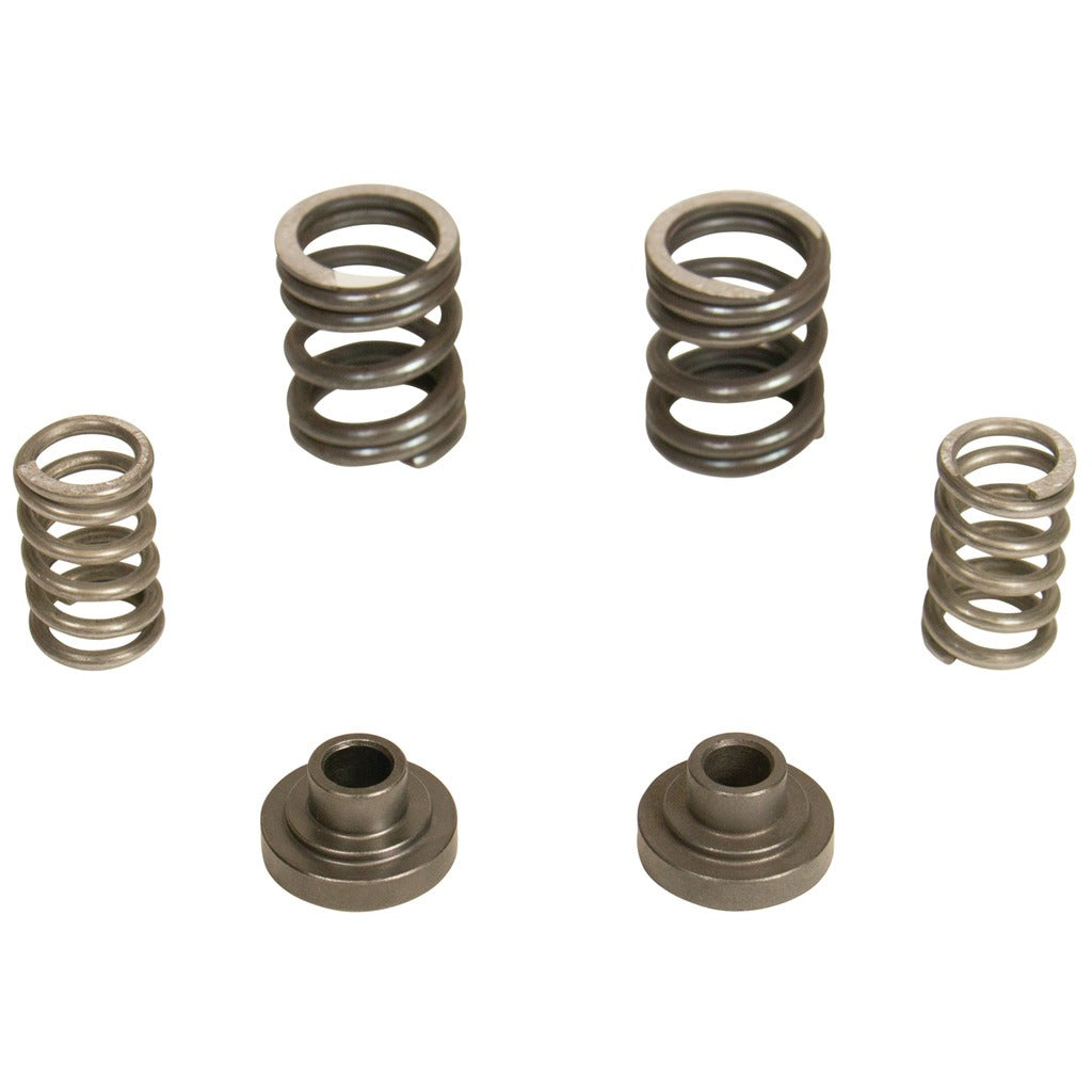 BD Diesel BD Diesel 5.9L Cummins Governor Springs P7100 Pump 3000RPM Dodge 1994-1998 12-valve 1040187 | 1040187