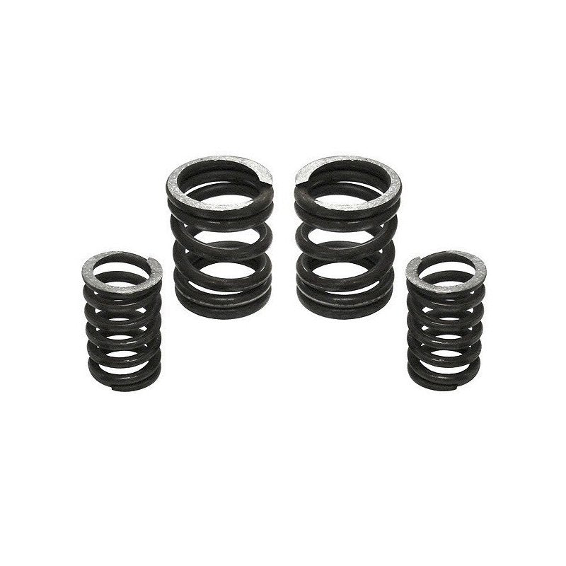 Industrial Injection INDUSTRIAL INJECTION 5000 RPM GOVERNOR SPRING KIT 5000GSK 232702 | 232702