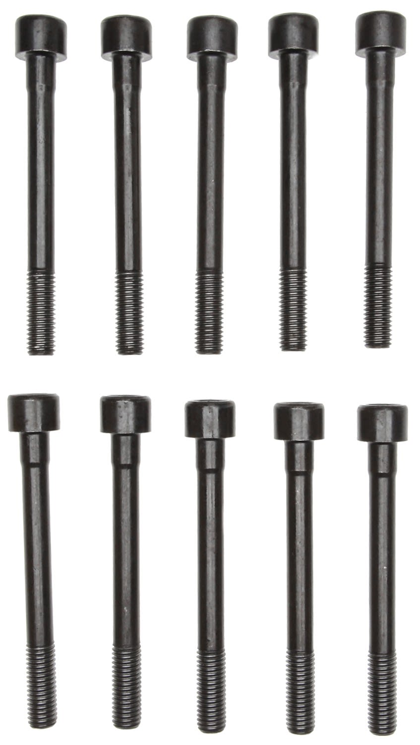 MCIGS33399