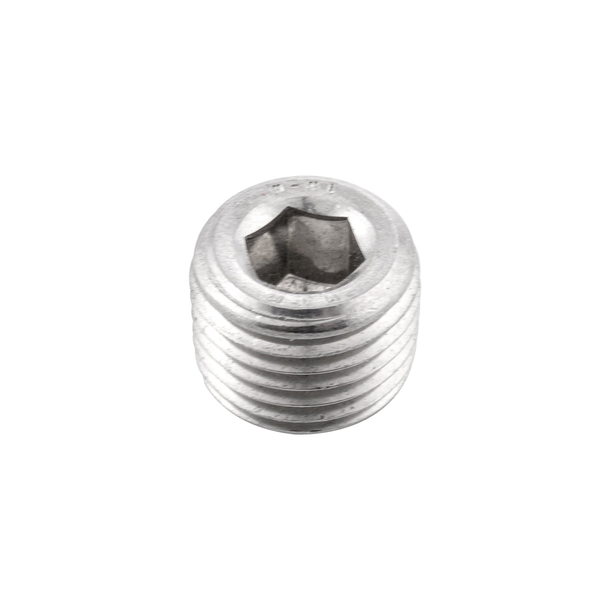 Pacific Engineering PPE Power 1 4 NPT Plug SS 128051006 | 128051006