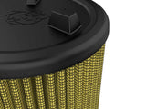 aFe Power aFe Power Ford Bronco 21-26 L4-2.3L tV6-2.7L tt Magnum FLOW OE Replacement Air Filter w Pro GUARD 7 Media 10-10401G | 10-10401G