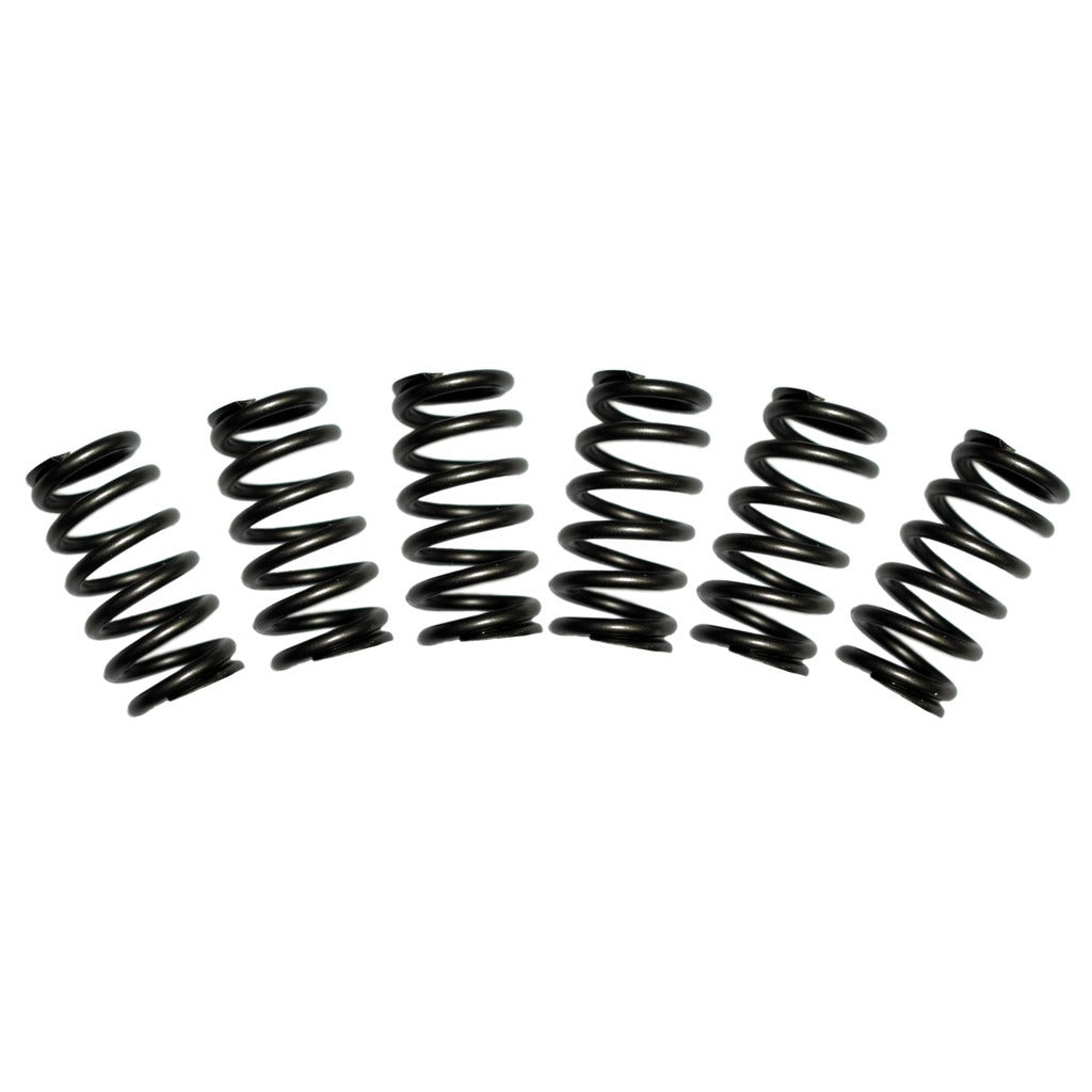 BD Diesel BD Diesel 5.9L Cummins Valve Spring Kit 60lbs Dodge 1988-1998 12-valve 1030060 | 1030060