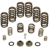 BD Diesel BD Diesel Governor Spring Kit 4000rpm - 1994-1998 Dodge 12-valve P7100 Pump 1040185 | 1040185