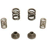 BD Diesel BD Diesel 5.9L Cummins Governor Springs P7100 Pump 3000RPM Dodge 1994-1998 12-valve 1040187 | 1040187