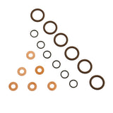 BD Diesel BD Diesel 5.9L Cummins Injector Seal Kit Dodge 1998.5-2002 24-valve 1075800 | 1075800