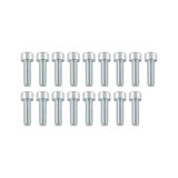 Pacific Engineering PPE Power Bolt Pack - SHCS M6-1.0 x 20mmL (17) 114052003 | 114052003