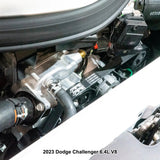 Pacific Engineering PPE Power Serpentine Belt - 2012-2023 Dodge Challenger Charger V8 2081mm 6 Rib 213001082 | 213001082