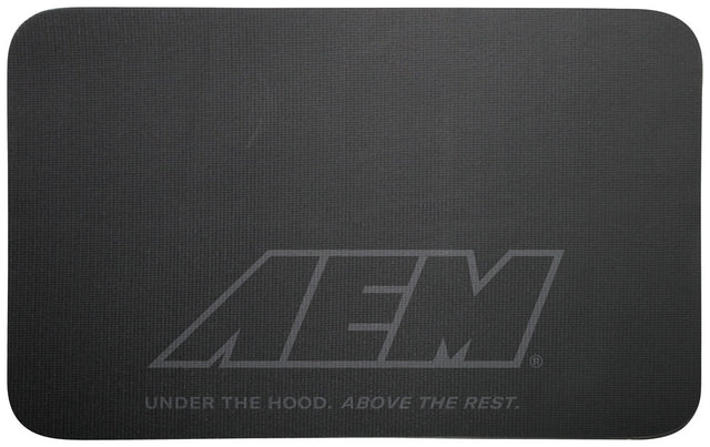 AEM10-013
