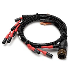 AUTST875-202