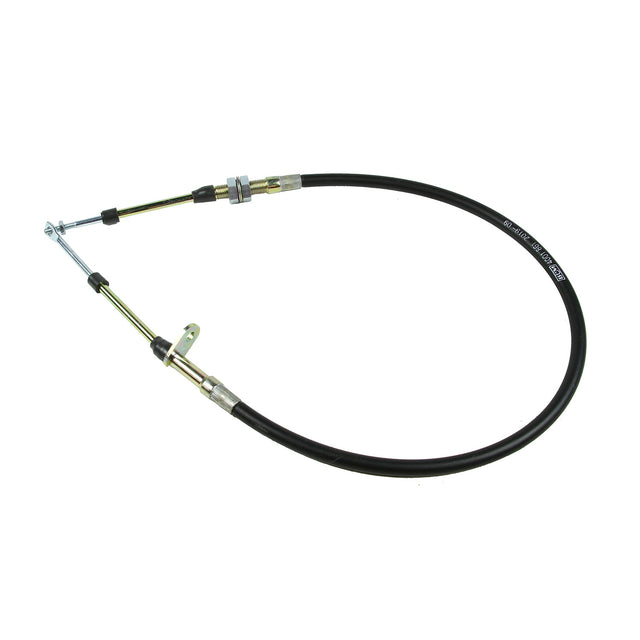 BNM81831