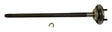 CAS4856333P