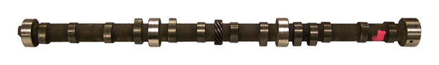 CAS83503402