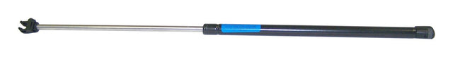 CASG0004256