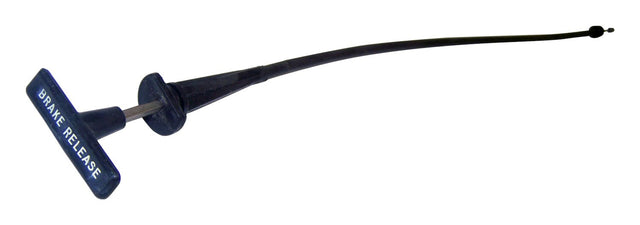 CASJ5350541