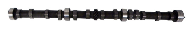 CASJ8133009