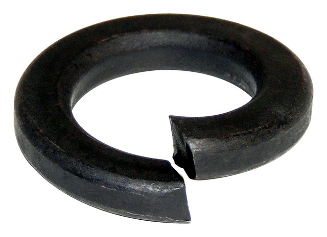 CASS0103336
