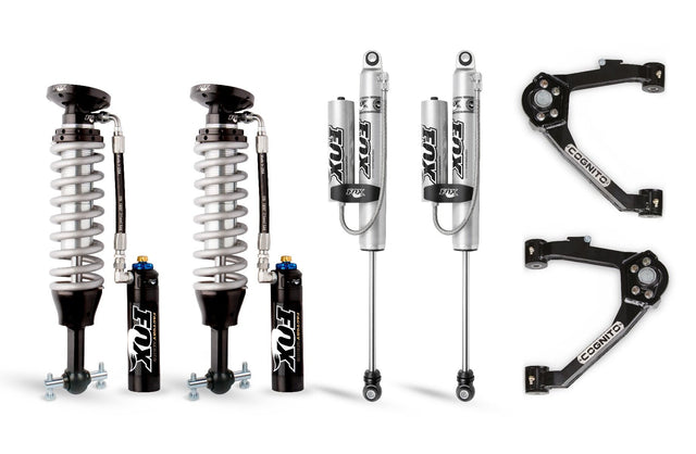 COG210-P1013