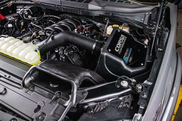 COR491506