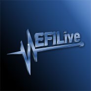 EFIFS2-FS1-GM