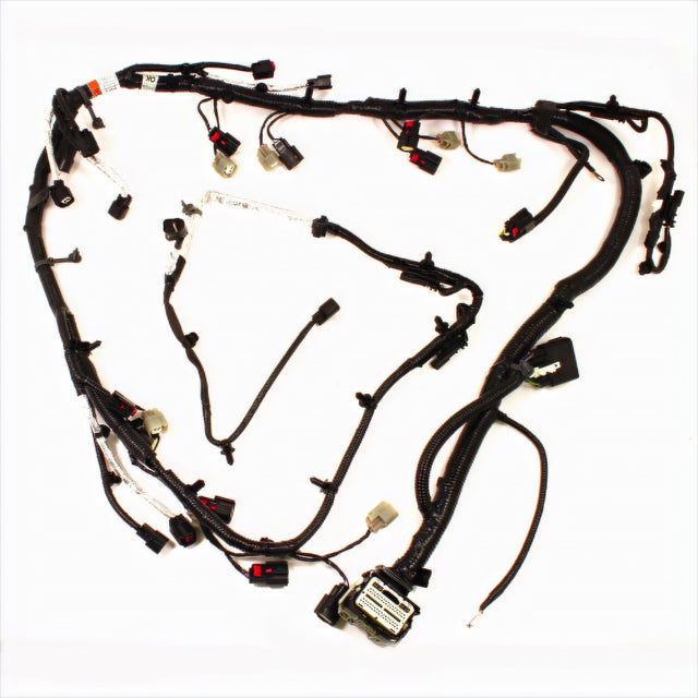 FPPM-12508-M50