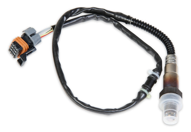 HOL554-101