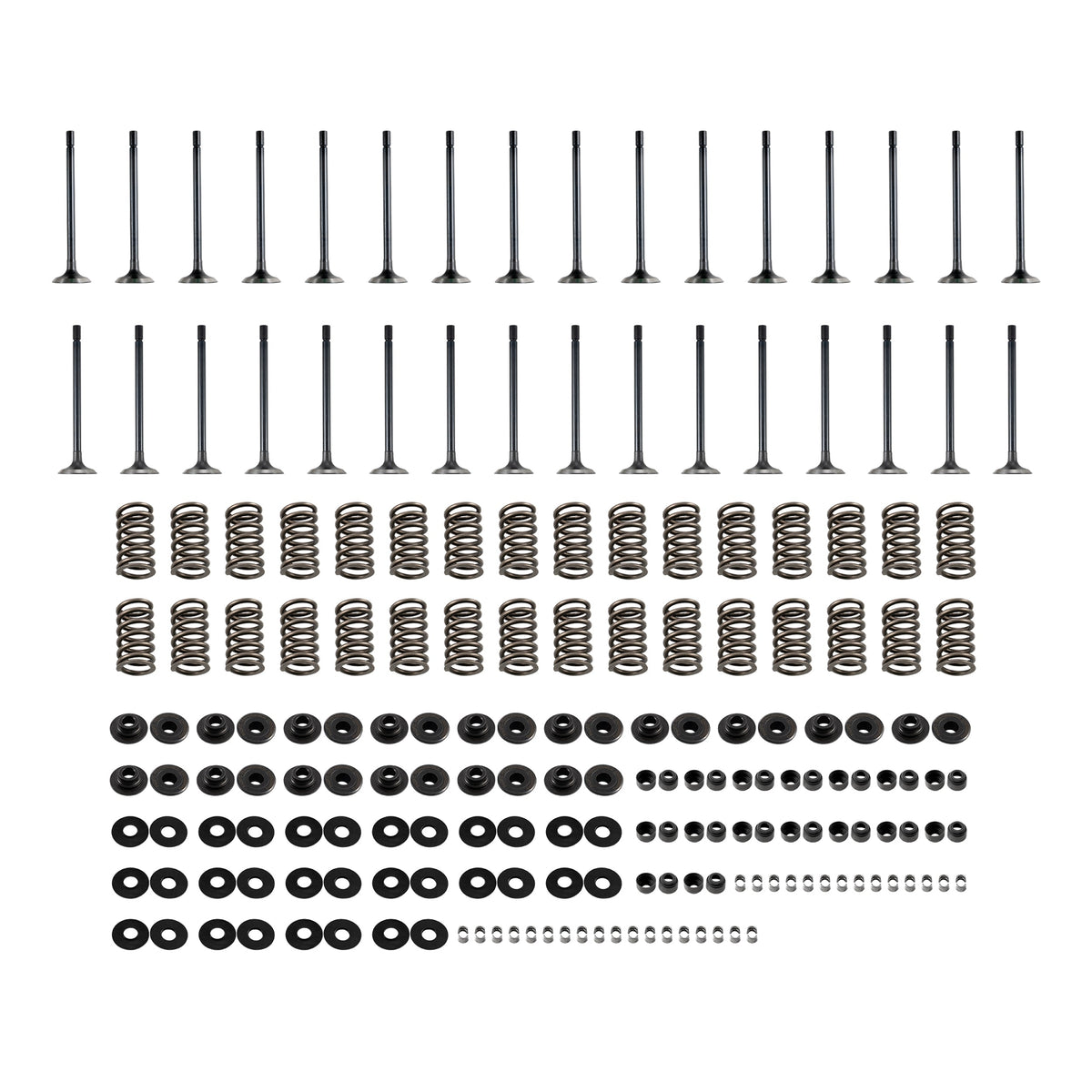 Pacific Engineering PPE Power Intake  Exhaust Valves and Straight Valve Springs Kit Complete - GM 6.6L Duramax 2001-2016 110090083 | 110090083