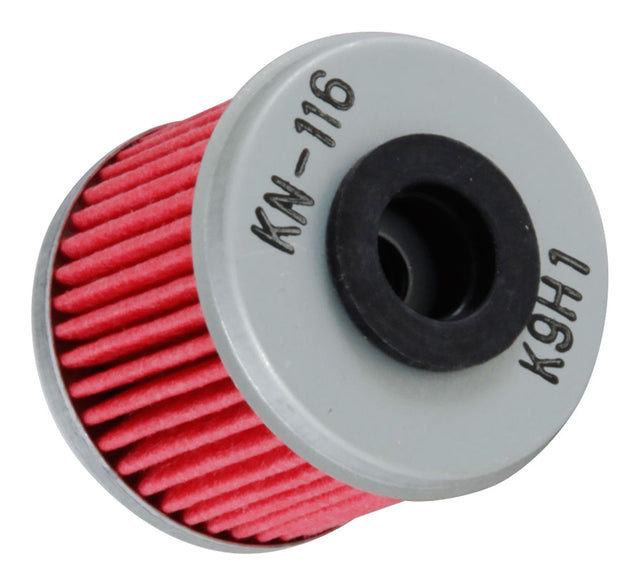 KANKN-116