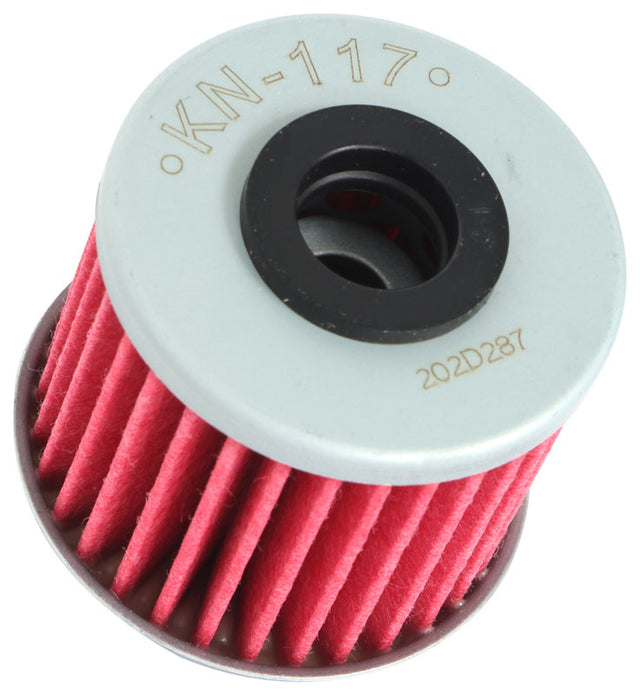 KANKN-117