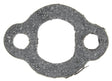MCIC17961