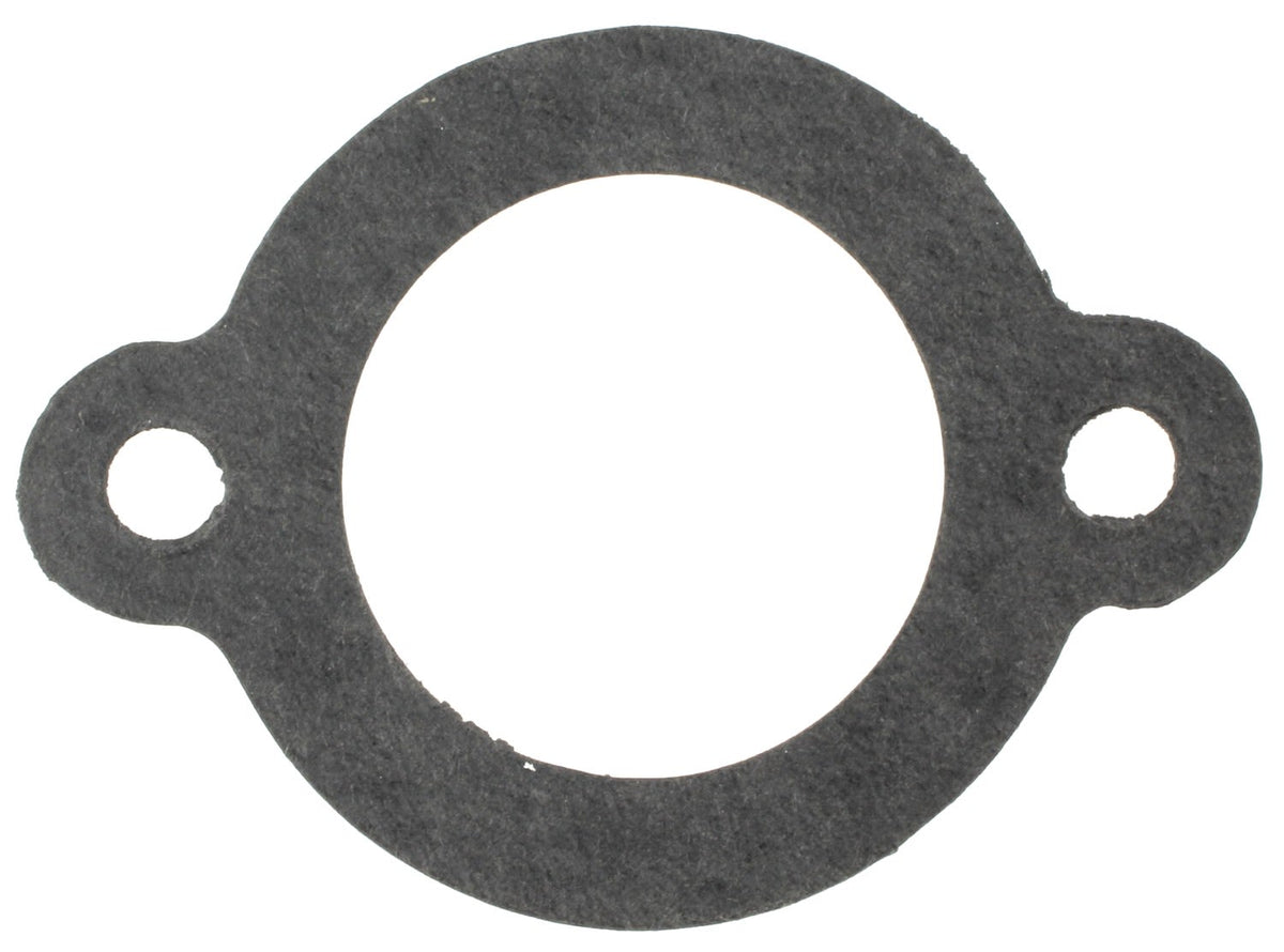MCIC30719