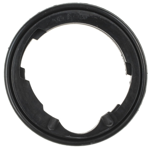 MCIC31058