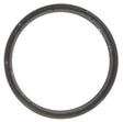 MCIC31273