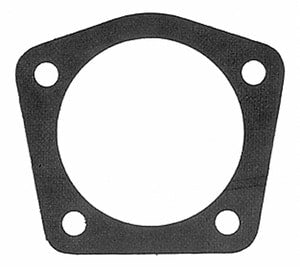 MCIC31295