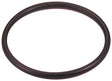 MCIC31302