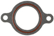 MCIC31394