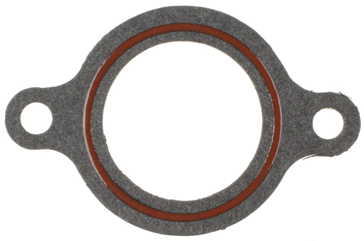 MCIC31394