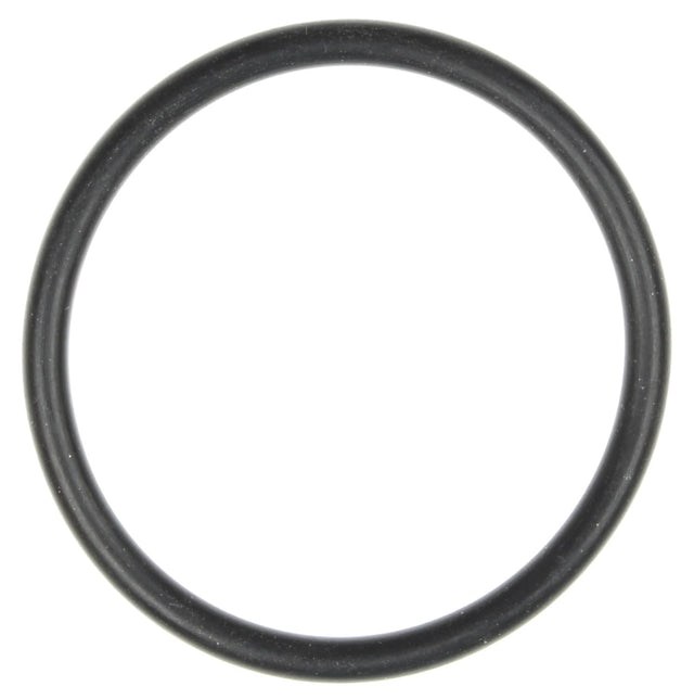 MCIC31398