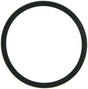 MCIC31889