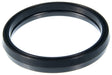 MCIC32383