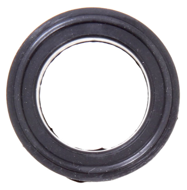 MCIG31495
