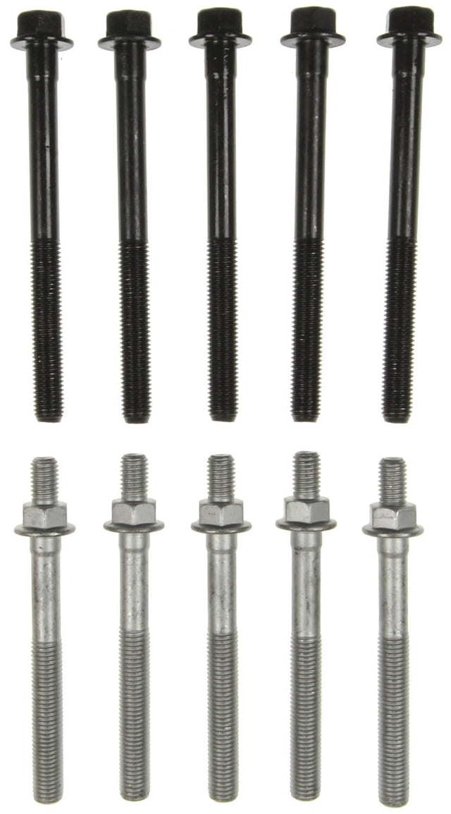 MCIGS33295