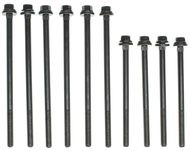 MCIGS33336