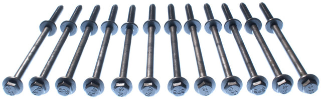 MCIGS33361