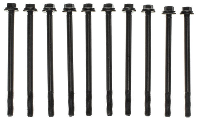MCIGS33368