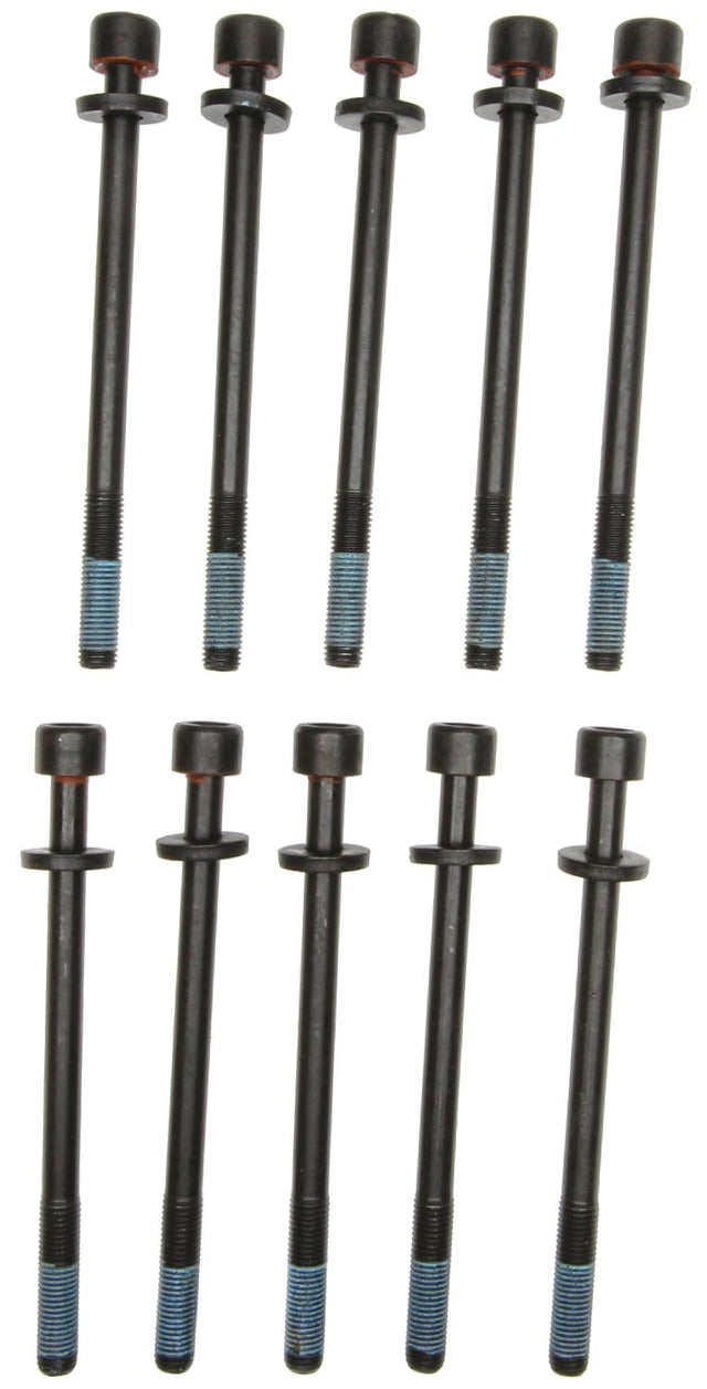 MCIGS33387