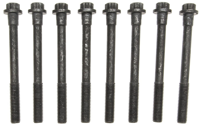 MCIGS33391