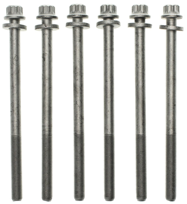 MCIGS33419