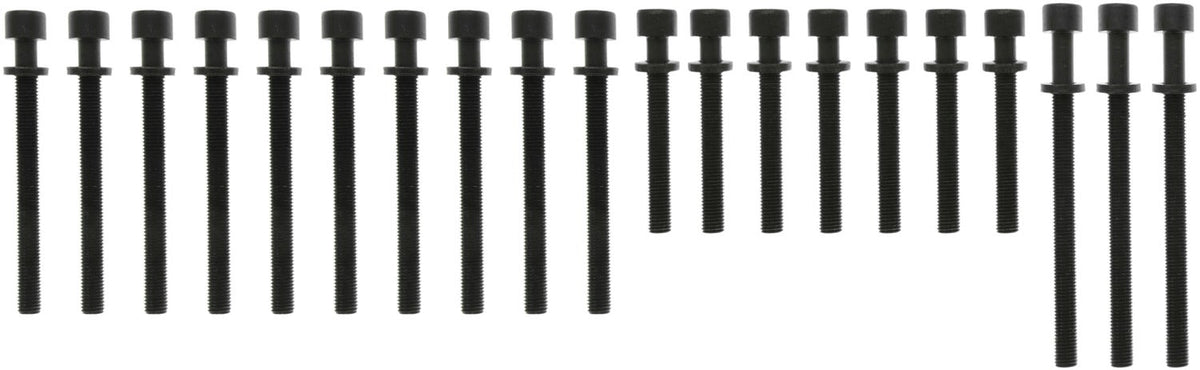 MCIGS33461
