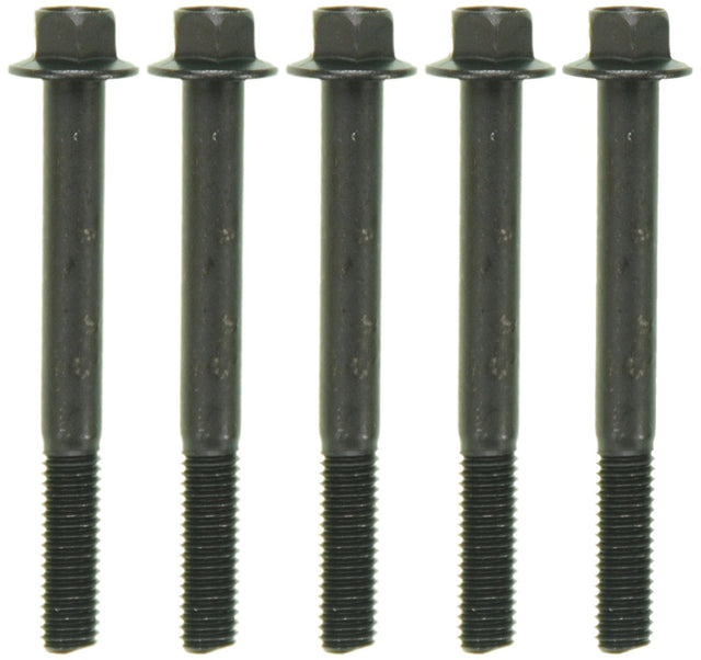 MCIGS33519