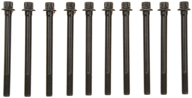 MCIGS33556